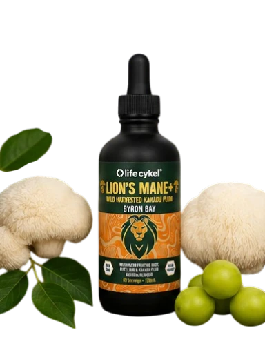 Life Cykel Lion's Mane+ mushroom extract with Lion's Mane mushrooms