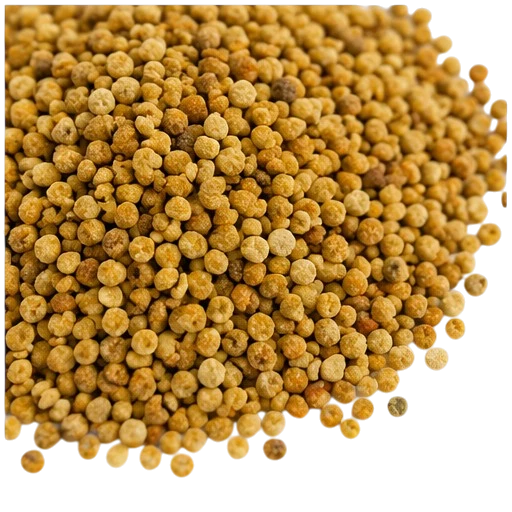 Australian bee pollen granules close up